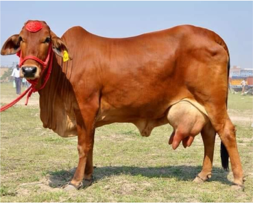 Agriculture